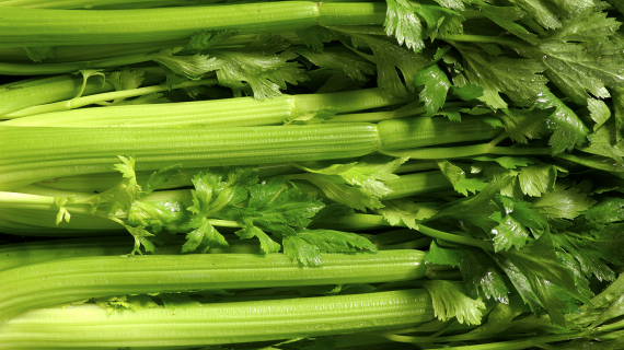 cuisson celeri