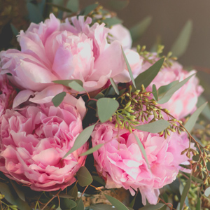 bouquet pivoines roses