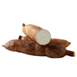 Aliment toxique : Le manioc