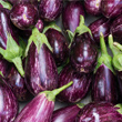 L’aubergine, brûleur de graisse par excellence