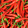 Faites monter la température grâce au piment !