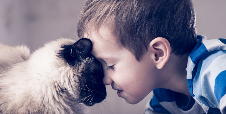 Petit fille qui joue avec un chat