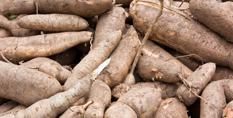 cuisson manioc