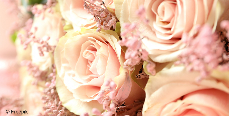 magnifique bouquet fleurs roses