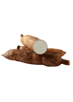 Aliment toxique : Le manioc