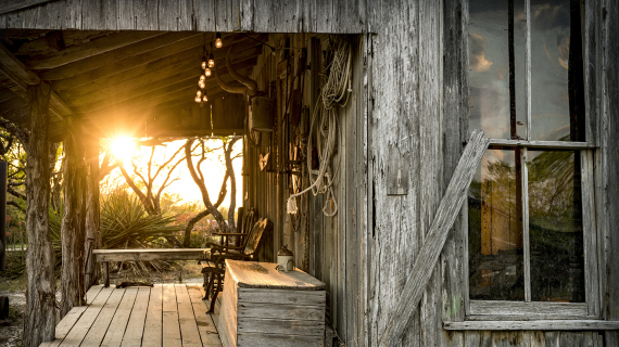 cabane en bois