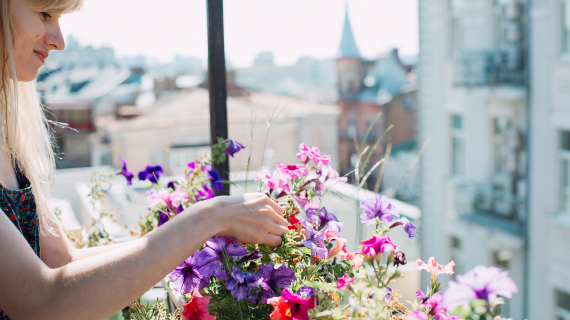 balcon jardin urbain 