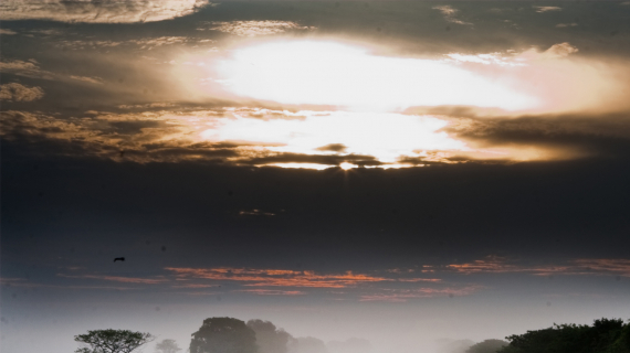 los llanos venezuela