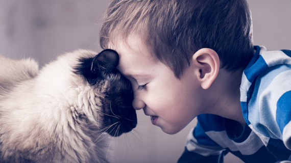 Petit fille qui joue avec un chat