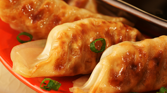 gyoza raviolis japonais