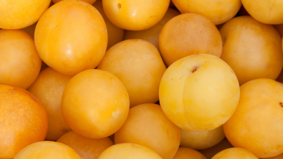 Mirabelles