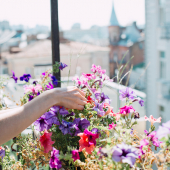 balcon jardin urbain 