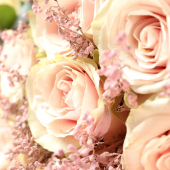 magnifique bouquet fleurs roses
