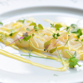 carpaccio noix saint jacques citron vert